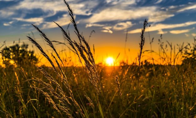 Personne ne rentrera au Paradis grâce à ses bonnes actions