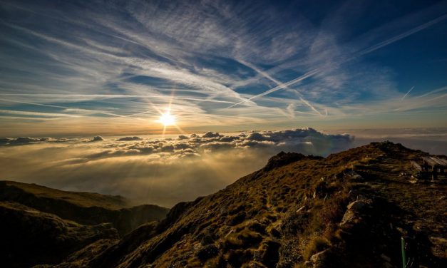 La patience lors de la perte d&rsquo;un être cher, n&rsquo;a d&rsquo;autre récompense que le Paradis