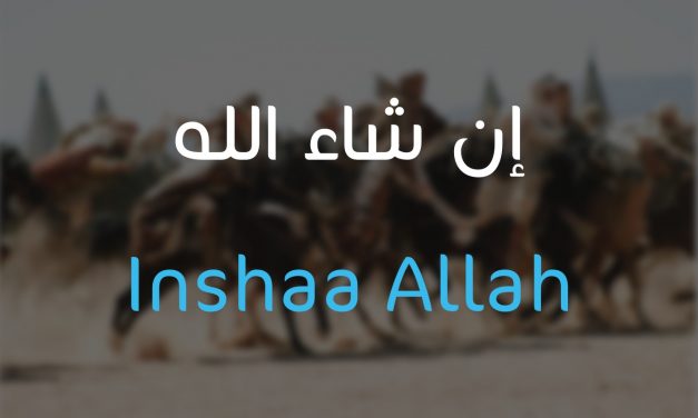 Le jour où le Prophète Salomon ne dit pas « Inchaa Allah »