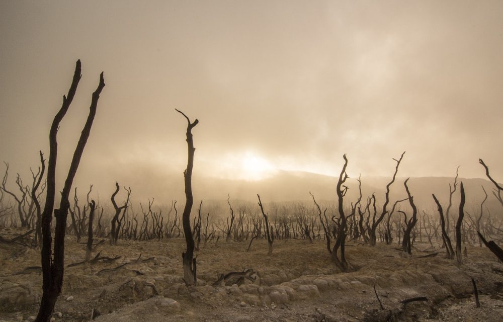 Celui qui aura le plus petit châtiment le jour de la résurrection